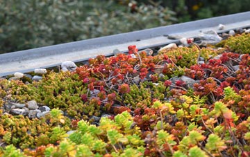 the cost of Forston green roof installation