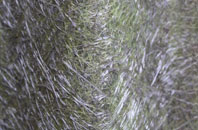 Forston fibreglass roof work